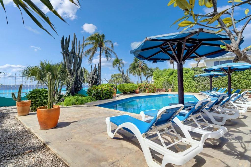 Bonaire Oceanfront Apartments Кралендейк Экстерьер фото